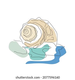 Seashell on the beach, abstract black linear sketch with marine colour spots on white background.Vector illustration, concept for logo, label, symbol, card, banner, poster, flyer