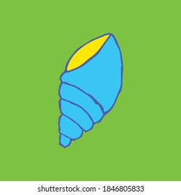 Seashell on the green background