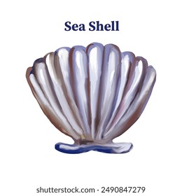 
Seashell on an isolated background