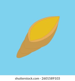 Seashell on the light blue background