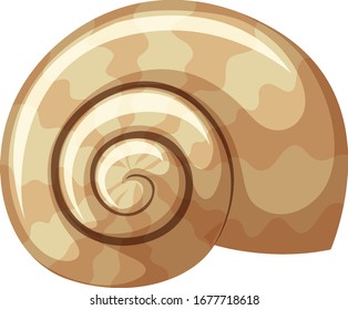Seashell on white background illustration