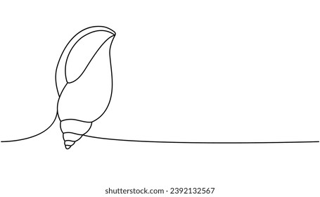 Seashell one line continuous drawing. Tropical underwater shell continuous one line illustration. Vector minimalist linear illustration.