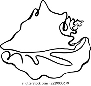 seashell one line vector illustration art