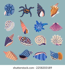 Seashell. Ornamental stylized illustrations of marine symbols doodle seashel recent vector collection