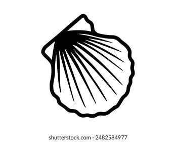 Seashell Outline Black White Illustration