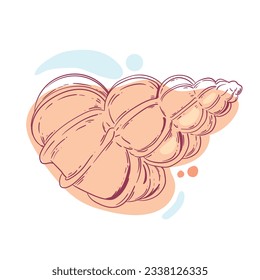 seashell outline illustration. Seashells vector set. Hand drawn illustrations of engraved line. Collection of realistic sketches various mollusk sea shells different forms. isolated white background.