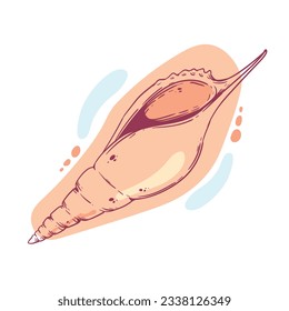 seashell outline illustration. Seashells vector set. Hand drawn illustrations of engraved line. Collection of realistic sketches various mollusk sea shells different forms. isolated white background.