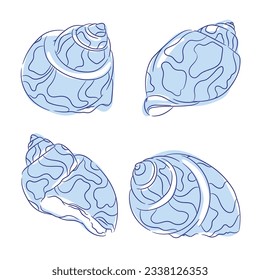 seashell outline illustration. Seashells vector set. Hand drawn illustrations of engraved line. Collection of realistic sketches various mollusk sea shells different forms. isolated white background.