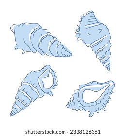 seashell outline illustration. Seashells vector set. Hand drawn illustrations of engraved line. Collection of realistic sketches various mollusk sea shells different forms. isolated white background.