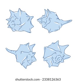 seashell outline illustration. Seashells vector set. Hand drawn illustrations of engraved line. Collection of realistic sketches various mollusk sea shells different forms. isolated white background.