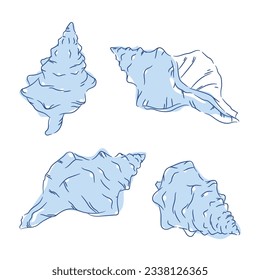 seashell outline illustration. Seashells vector set. Hand drawn illustrations of engraved line. Collection of realistic sketches various mollusk sea shells different forms. isolated white background.