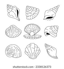 ilustración del contorno de la concha. Conjunto de vectores de cascos de mar. Ilustraciones dibujadas a mano de la línea grabada. Colección de bocetos realistas de varias conchas marinas de moluscos de diferentes formas. fondo blanco aislado.