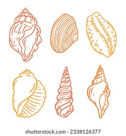 seashell outline illustration. Seashells vector set. Hand drawn illustrations of engraved line. Collection of realistic sketches various mollusk sea shells different forms. isolated white background.