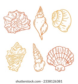 seashell outline illustration. Seashells vector set. Hand drawn illustrations of engraved line. Collection of realistic sketches various mollusk sea shells different forms. isolated white background.