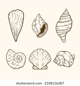 ilustración del contorno de la concha. Conjunto de vectores de cascos de mar. Ilustraciones dibujadas a mano de la línea grabada. Colección de bocetos realistas de varias conchas marinas de moluscos de diferentes formas. fondo blanco aislado.