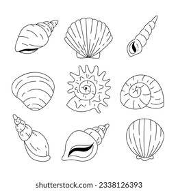 ilustración del contorno de la concha. Conjunto de vectores de cascos de mar. Ilustraciones dibujadas a mano de la línea grabada. Colección de bocetos realistas de varias conchas marinas de moluscos de diferentes formas. fondo blanco aislado.