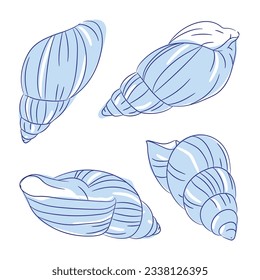 seashell outline illustration. Seashells vector set. Hand drawn illustrations of engraved line. Collection of realistic sketches various mollusk sea shells different forms. isolated white background.