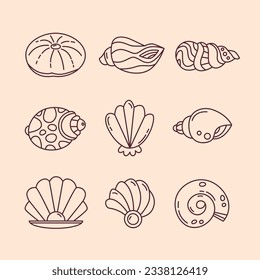 seashell outline illustration. Seashells vector set. Hand drawn illustrations of engraved line. Collection of realistic sketches various mollusk sea shells different forms. isolated white background.