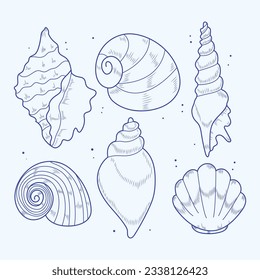 seashell outline illustration. Seashells vector set. Hand drawn illustrations of engraved line. Collection of realistic sketches various mollusk sea shells different forms. isolated white background.