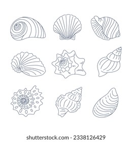 Colorful scallop sea shell, sketch style vector illustration isolated on  white background. Realistic hand drawing of saltwater scallop seashell,  clam, conch Stock Vector