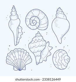 seashell outline illustration. Seashells vector set. Hand drawn illustrations of engraved line. Collection of realistic sketches various mollusk sea shells different forms. isolated white background.