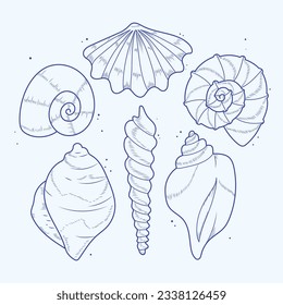 seashell outline illustration. Seashells vector set. Hand drawn illustrations of engraved line. Collection of realistic sketches various mollusk sea shells different forms. isolated white background.