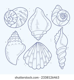 seashell outline illustration. Seashells vector set. Hand drawn illustrations of engraved line. Collection of realistic sketches various mollusk sea shells different forms. isolated white background.