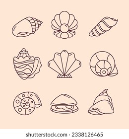 seashell outline illustration. Seashells vector set. Hand drawn illustrations of engraved line. Collection of realistic sketches various mollusk sea shells different forms. isolated white background.