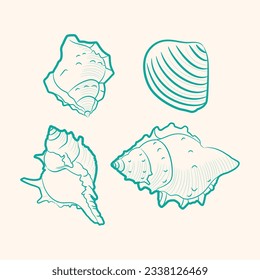 seashell outline illustration. Seashells vector set. Hand drawn illustrations of engraved line. Collection of realistic sketches various mollusk sea shells different forms. isolated white background.
