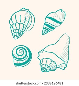 seashell outline illustration. Seashells vector set. Hand drawn illustrations of engraved line. Collection of realistic sketches various mollusk sea shells different forms. isolated white background.
