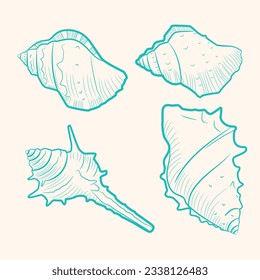 seashell outline illustration. Seashells vector set. Hand drawn illustrations of engraved line. Collection of realistic sketches various mollusk sea shells different forms. isolated white background.