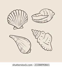 seashell outline illustration. Seashells vector set. Hand drawn illustrations of engraved line. Collection of realistic sketches various mollusk sea shells different forms. isolated white background.