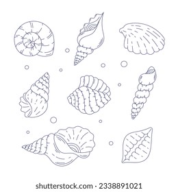 seashell outline illustration. Seashells vector set. Hand drawn illustrations of engraved line. Collection of realistic sketches various mollusk sea shells different forms. isolated white background.