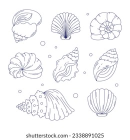 seashell outline illustration. Seashells vector set. Hand drawn illustrations of engraved line. Collection of realistic sketches various mollusk sea shells different forms. isolated white background.