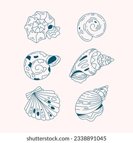 seashell outline illustration. Seashells vector set. Hand drawn illustrations of engraved line. Collection of realistic sketches various mollusk sea shells different forms. isolated white background.