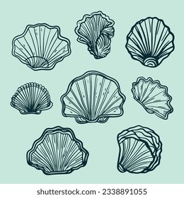 seashell outline illustration. Seashells vector set. Hand drawn illustrations of engraved line. Collection of realistic sketches various mollusk sea shells different forms. isolated white background.