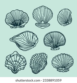 seashell outline illustration. Seashells vector set. Hand drawn illustrations of engraved line. Collection of realistic sketches various mollusk sea shells different forms. isolated white background.