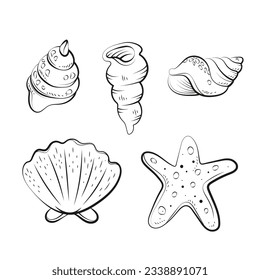 seashell outline illustration. Seashells vector set. Hand drawn illustrations of engraved line. Collection of realistic sketches various mollusk sea shells different forms. isolated white background.