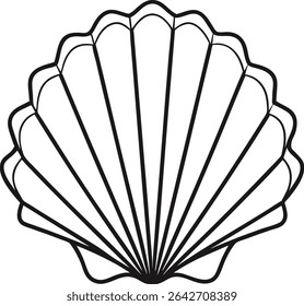 Contorno de concha em fundo branco
