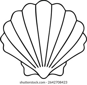 Contorno de concha em fundo branco