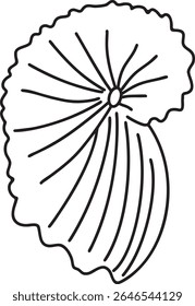 Seashell outline vector illustration Hand-drawn art line Great for coloring book, greeting cards, educational material, kids party invitations	
