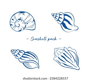 Seashell pack vector illustration drawing.