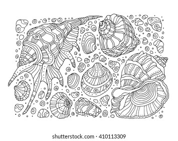 View Seashells Coloring Page PNG