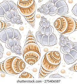Seashell pattern - Illustration