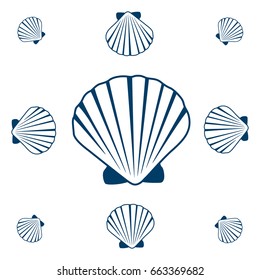 Seashell pattern, marine conch vector on white background. Bivalve mollusk cockleshell, oceanic sea shell pattern. Scallop, minimalist seashell graphic design.