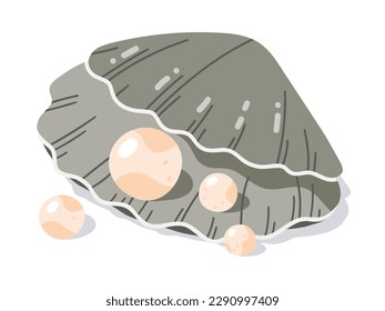 Campaña con perlas. Concha de vieiras con perlas, mariscos. Concha de almeja abierta, ilustración vectorial plana de la fauna marina del océano