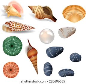 Seashell, pearl and stone collection set
