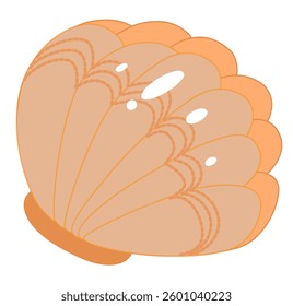 seashell perfect for summer vibes, beach fun, and ocean adventures.