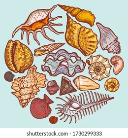 Seashell round icon concept isolated on blue, cartoon vector illustration. Ocean cockleshell explore sea wildlife, set shell object mollusc. Seaside fossil dweller pearl mining and meat.