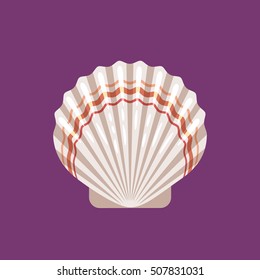 Seashell scallop flat vector illustration on violet background